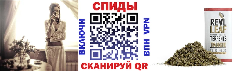 гидра   Елизаветинская  Бутират бутандиол 